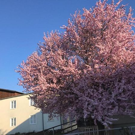 Landpension Gschwantner Lengenfeld Exteriér fotografie
