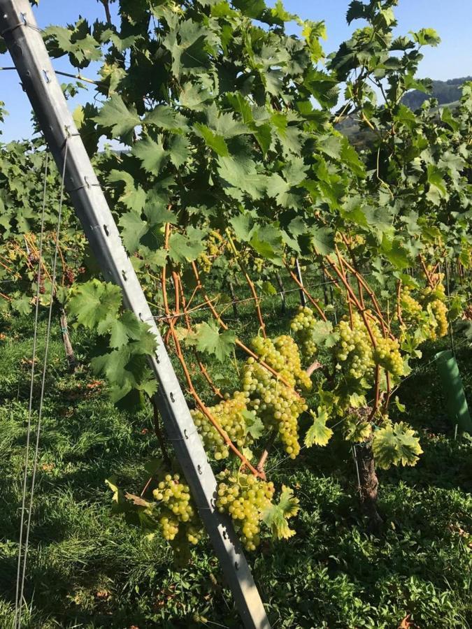 Landpension Gschwantner Lengenfeld Exteriér fotografie