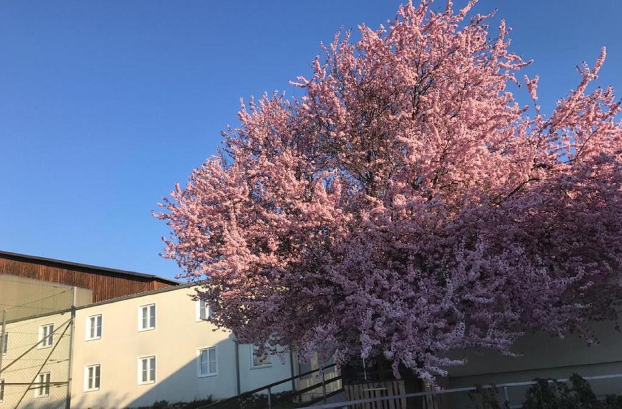 Landpension Gschwantner Lengenfeld Exteriér fotografie